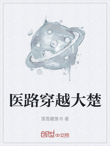 醫路穿越大楚