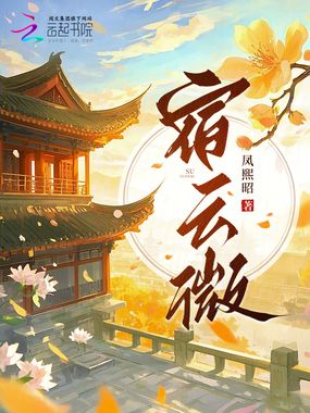 宿云微在线阅读
