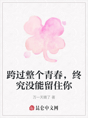 跨过整个青春，终究没能留住你在线阅读