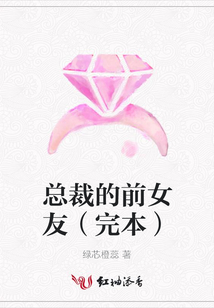总裁的前女友(完本)
