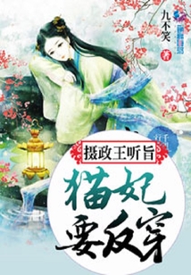 攝政王聽旨:貓妃要反穿