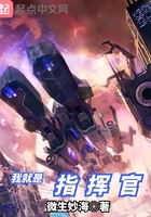 我就是指挥官