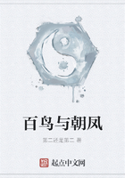 百鳥與朝鳳在線閱讀