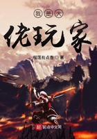 我是大佬玩家