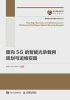 面向5G的智能光承载网规划与运维实践