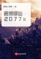 赛博修仙2077k在线阅读