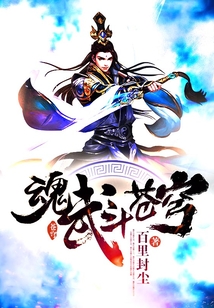 魂武九重天