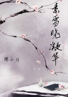素雪晓凝华