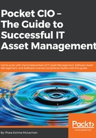 Pocket CIO：The Guide to Successful IT Asset Management