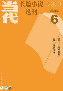 當代長篇小說選刊（2020年6期）