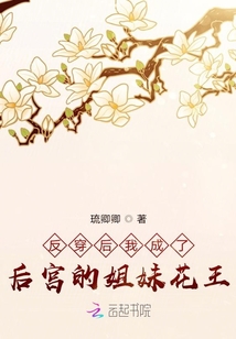 反穿后我成了后宮的姐妹花王