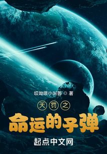 天罰之命運的子彈
