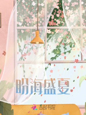 盼海盛夏在线阅读