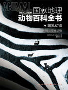 哺乳动物:鲸类·草食动物(国家地理动物百科全书)在线阅读