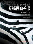 哺乳动物:鲸类·草食动物(国家地理动物百科全书)在线阅读
