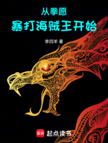 从拳愿暴打海贼王开始在线阅读