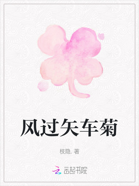 风过矢车菊在线阅读