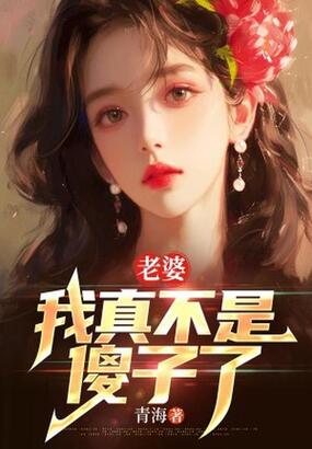 老婆,我真不是傻子了在线阅读