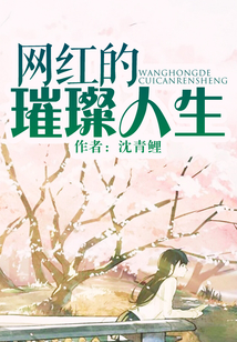 网红的璀璨人生