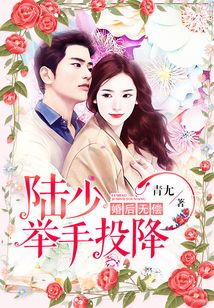婚后無償，陸少舉手投降