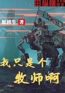 我只是个牧师啊