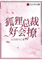 狐貍總裁好會撩在線閱讀