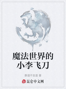 魔法世界的小李飛刀
