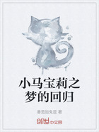 小马宝莉之梦的回归在线阅读