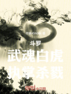 斗罗：武魂白虎，执掌杀戮在线阅读