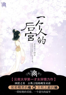 一個人的后宮