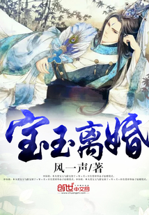 宝玉离婚