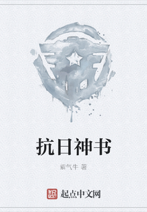 抗日神書