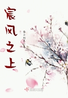 宸風之上在線閱讀