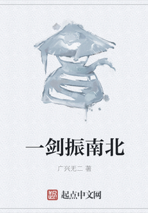一剑振南北