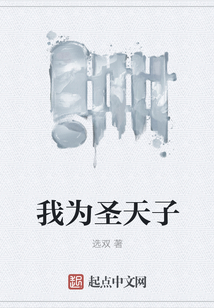 我为圣天子