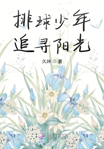 排球少年追尋陽光
