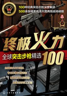 終極火力：全球突擊步槍精選100