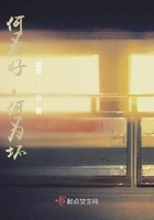何为好,何为坏?在线阅读