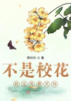 不是校花就没有春天吗?