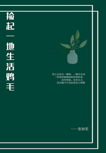 撿起一地生活雞毛