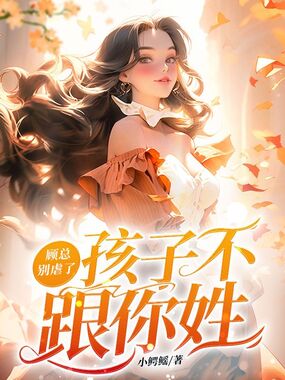 顾总别虐了,孩子不跟你姓在线阅读