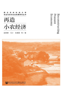 再造小農(nóng)經(jīng)濟
