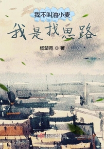 我不叫油小麥我是找思路