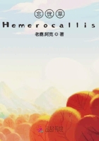 忘忧草Hemerocallis