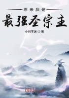 原來我是最強圣宗主在線閱讀