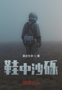鞋中沙礫