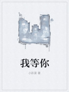 我等你在線閱讀