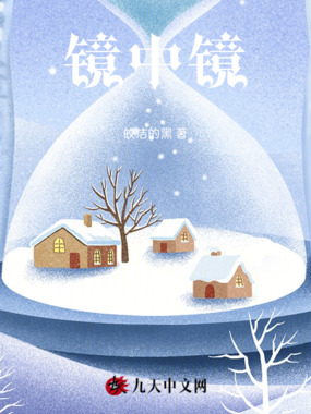 镜中镜在线阅读