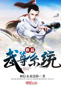 极品武尊系统