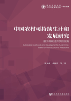 中国农村可持续生计和发展研究：基于微观经济学的视角在线阅读